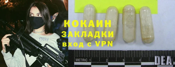 дживик Абинск